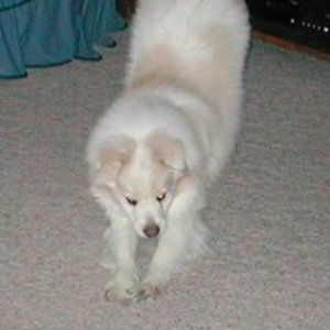 Meet your Posher, Jc